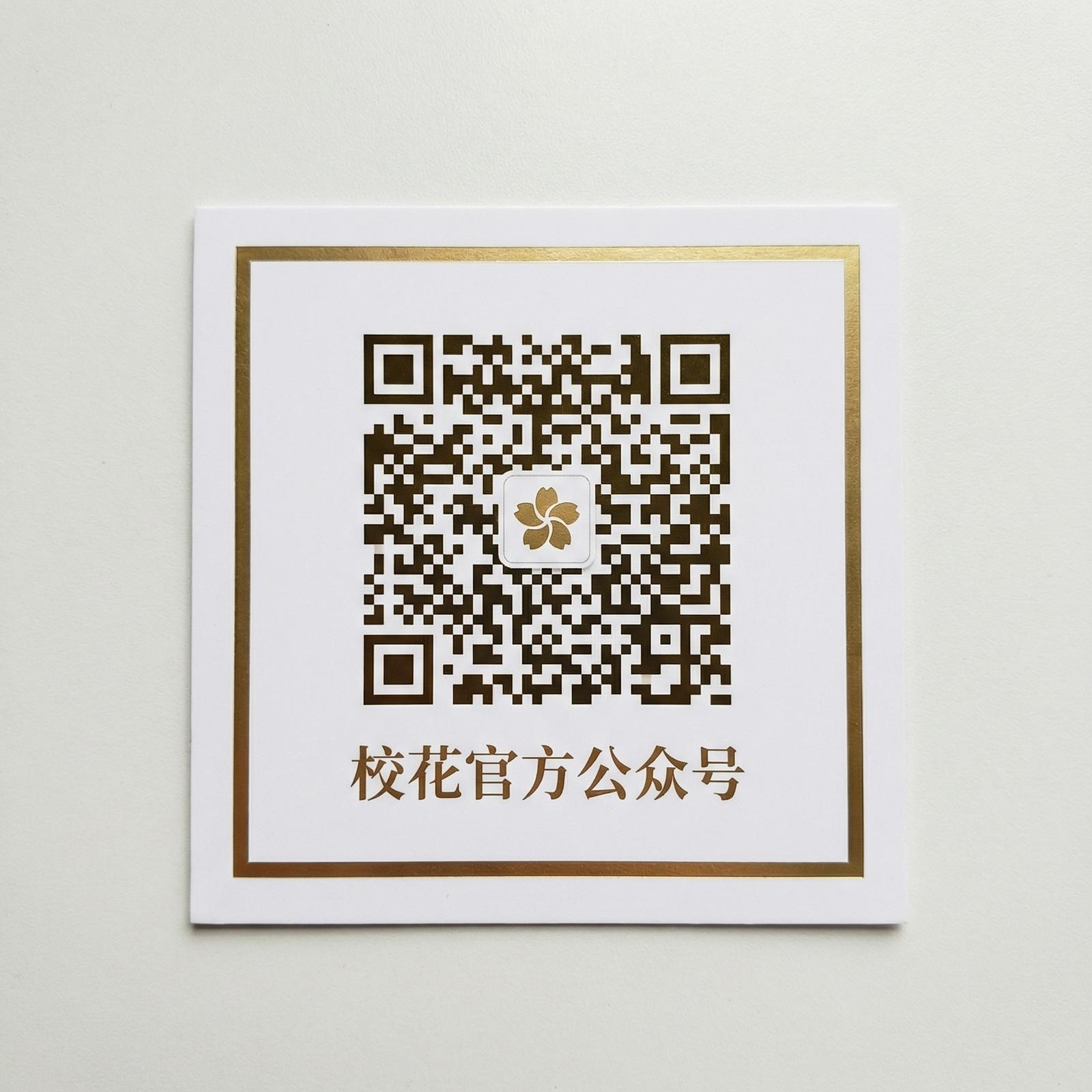 母狗传媒公众号二维码